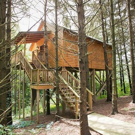 Whispering Pines Treehouse By Amish Country Lodging Millersburg Exterior foto